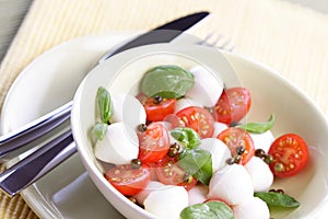 Close of tomato and mozarella in dish