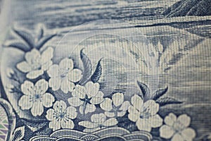 Close up on 1000 YEN banknote