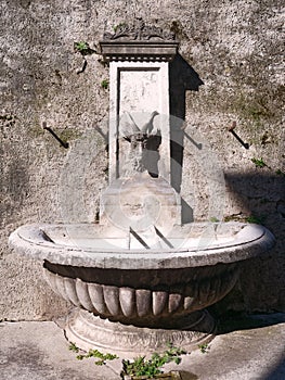 Close-up of 19th century drinking water fountain with carved stone goat head mask and clam shell bowl.