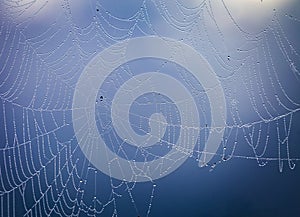 Close up abstract art macro photography of cobweb or spiderweb with rain or dew water drops in the morning fog. Natural abstract
