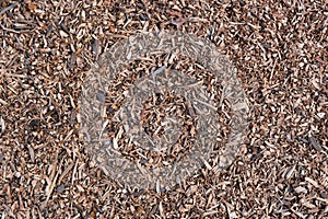 Close-up of an abstract background made from small stumps of wood and twigs