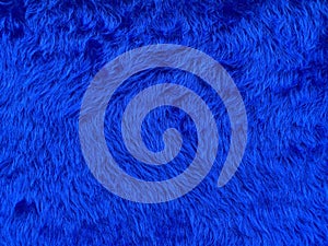 Close up abstract Fluffy Navy Blue wool texture and background, cotton wool. Fashionable color.Decorative dyed sheepskin with copy