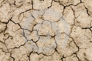 Pattern of cracks in dried mud