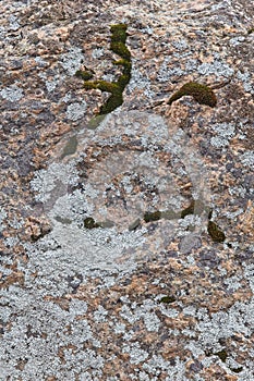 Close-up of abstract rock surface with lichen.