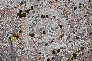 Close-up of abstract rock surface with lichen.