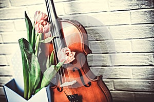 Close up acoustic volin and pink tulip flowers on brikwall background