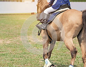 Close up action of horse legs with protection boots during workouts warm up prepare competition