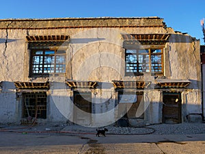 CLOSE UP: Adorable little black puppy walks past a decaying house in Tingri.