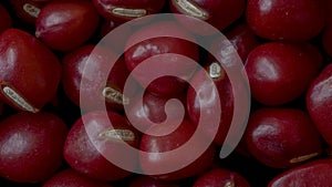 Close-up of Adzuki Beans, Vigna angularis, Zoom