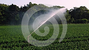 Close up aerial clip of an agricultural irrigation system sprinkler spraying water on the arable crops in English farmland