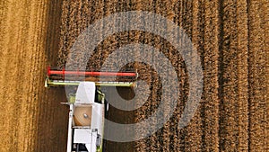 Close-up Aerial view 4k resolution Modern combine harvester collects ripe wheat leaving behind a cloud of dust in a