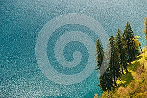 Close up aerial view of lonely fir trees on the clear blue water background on the bank of the lake Bled in Slovenia.