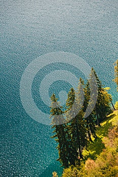 Close up aerial view of lonely fir trees on the clear blue water background on the bank of the lake Bled in Slovenia.