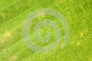 Close up aerial view of surface of green freshly cut grass on football stadium in summer