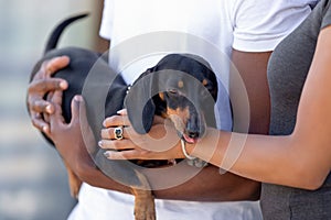 Close up African American couple in love standing with dog
