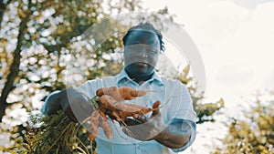 Close up, african man holding in hands homegrown harvest of fresh carrots.