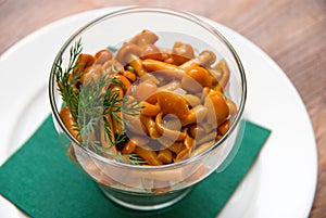 Close up of agaric honey dish