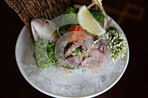 Close Up on Aji Mackerel Sashimi