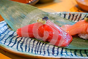 close up akami Bluefin Tuna Sushi served by hand with pickled wasabi