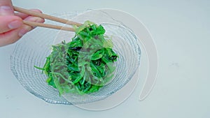 Close up of an algae with chopsticks. Soaked green wakame.