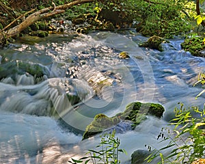 Close up of Alley Spring outflow