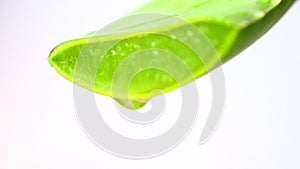 Close-up of Aloe Vera Gel dripping from Aloe plant green leaf. Skin care, healthcare, moisturizing concept.