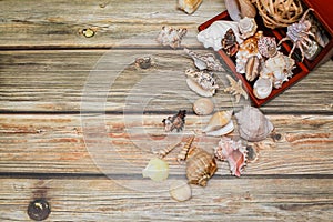 Close up Ancient casket for jewelry with collection of different seashells on wooden table