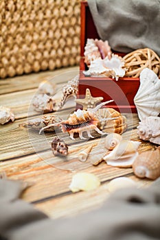 Close up Ancient casket for jewelry with collection of different seashells on wooden table