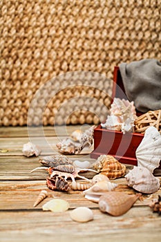 Close up Ancient casket for jewelry with collection of different seashells on wooden table