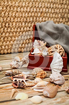 Close up Ancient casket for jewelry with collection of different seashells on wooden table