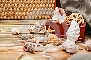Close up Ancient casket for jewelry with collection of different seashells on wooden table
