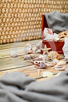 Close up Ancient casket for jewelry with collection of different seashells on wooden table