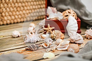 Close up Ancient casket for jewelry with collection of different seashells on wooden table