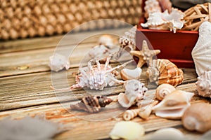 Close up Ancient casket for jewelry with collection of different seashells on wooden table