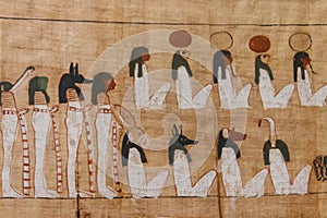 Close-up of ancient egyptian papyrus