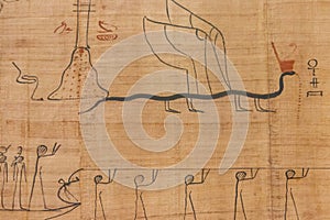 Close-up of ancient egyptian papyrus