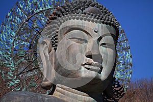 Close-up ancient metal carving of sitting peace buddha in front of tree mountain