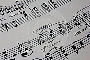 Close-up Ancient Sheet Music