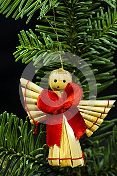 Close-up of angel on sprig