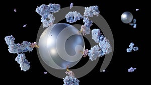 Close up antibody-conjugated magnetic nanoparticles