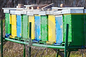 Close Up of Apiary in the Field Next to Forest Trees