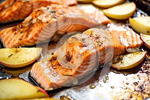 close-up of apple cider soaked salmon ready for grilling