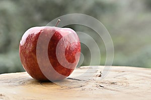 Close up of apple type with red, white, yellow and pink pulp