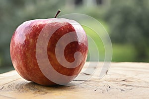 Close up of apple type with red, white, yellow and pink pulp