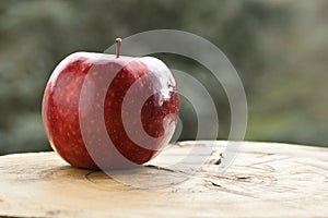 Close up of apple type with red, white, yellow and pink pulp