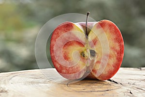 Close up of apple type with red, white, yellow and pink pulp