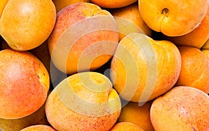 Close-up apricot background