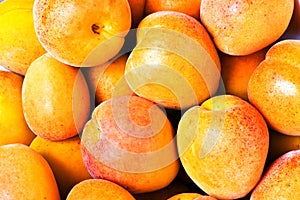 Close-up apricot background