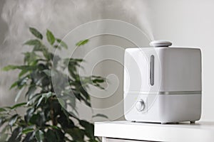 Close up of aroma oil diffuser on the table at home, steam from the air humidifier, houseplant on background