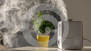 Close up of aroma oil diffuser on the table at home, steam from the air humidifier, houseplant in yellow pot on background